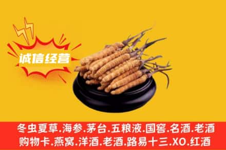 赣州上犹县回收冬虫夏草